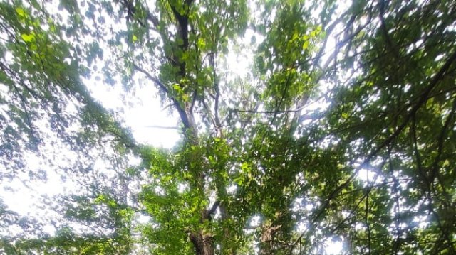 Наш потребител който е собственик на трафопост в столичния район