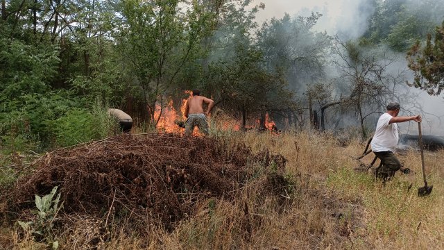 Горят къщи и борова гора в старозагорското село Пъстрово Огнената