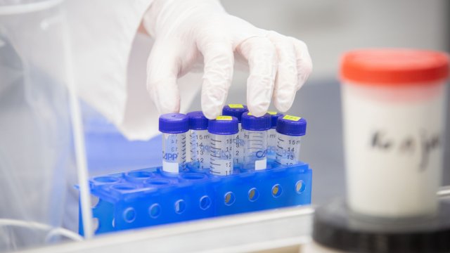 Отрицателни са до момента тестовете за коронавирус на всички пътници