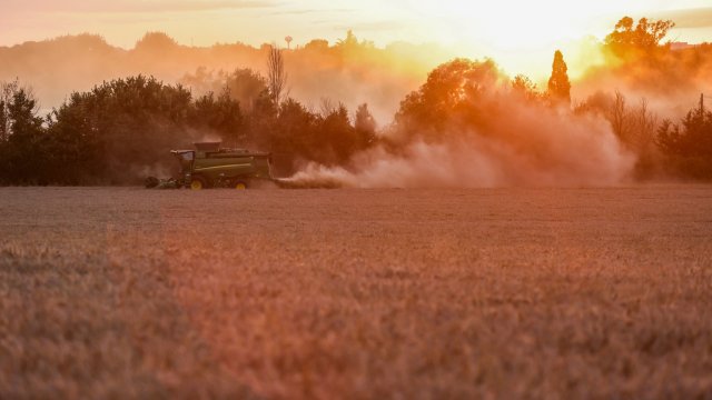 Много собственици на земеделски земи в ЕС отдават имота си