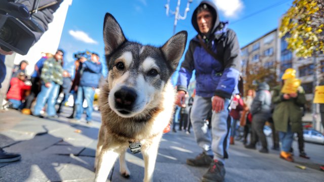Граждани внесоха в МВР жалба срещу неприлагането на Закона за