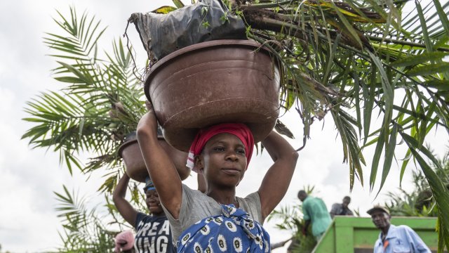 Световната банка одобри програма на стойност 2 3 млрд долара за