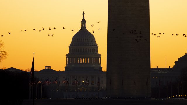Всеки се е заглеждал в накацалите по жиците птици и