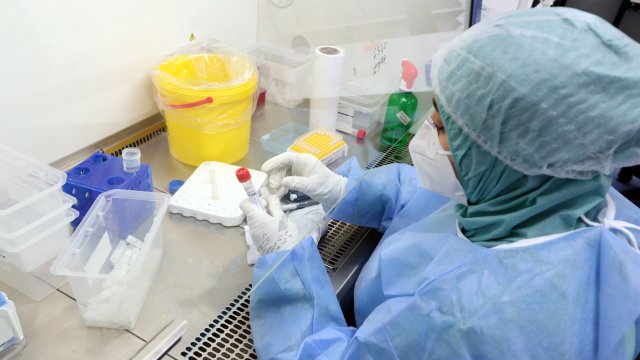 Нова тревога: Ламбда мутацията - по-опасна ли е и помагат ли ваксините? -  Bgonair