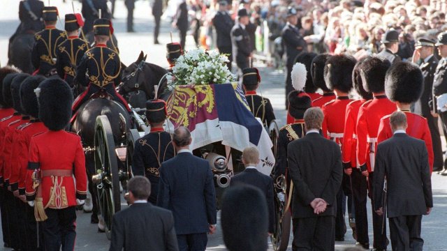 Нови правителствени документи разкрити пред целия свят показват какво се