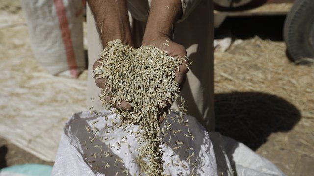 Москва напоследък пое контрола над световния износ на пшеница пише