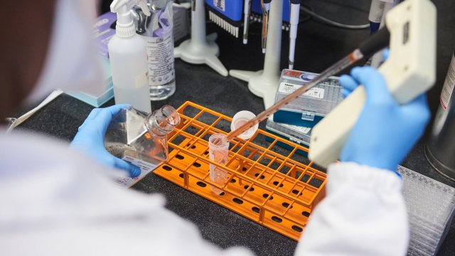 Генералният директор на Световната здравна организация СЗО Тедрос Гебрейесус заяви