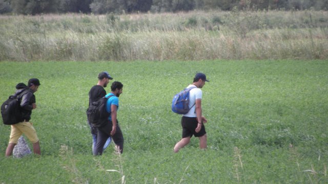 Двама турски граждани са обвинени за трафик на нелегални мигранти