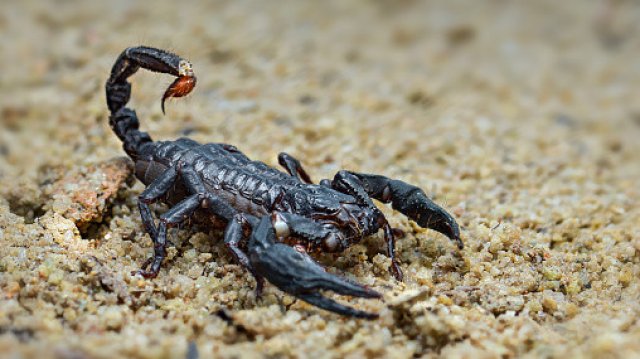 От Министерството на здравеопазването обясниха че заради пороите са пострадали