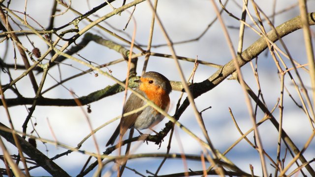 Предимно слънчево и топло за сезона ще е времето над