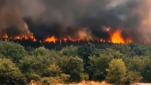 Равносметката от Припек: 