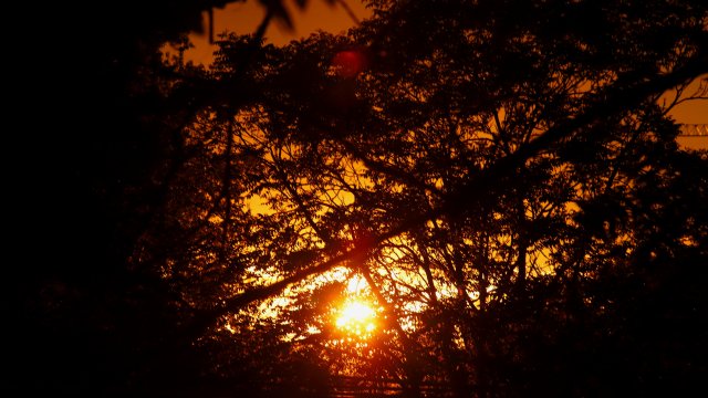 Необичайно топлото време за този сезон продължава Днес бяха подобрени