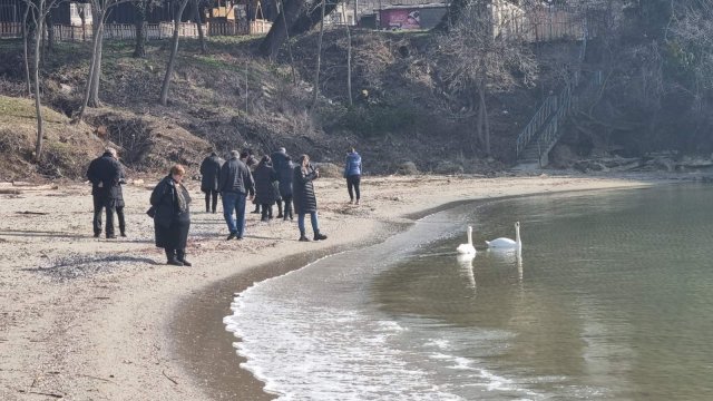 Авария на централен канал който вместо да отвежда отпадните води