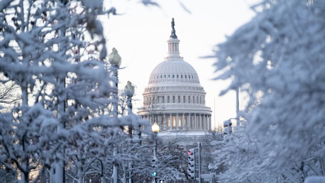 Зимните студове причиниха заледявания в голяма част от САЩ като