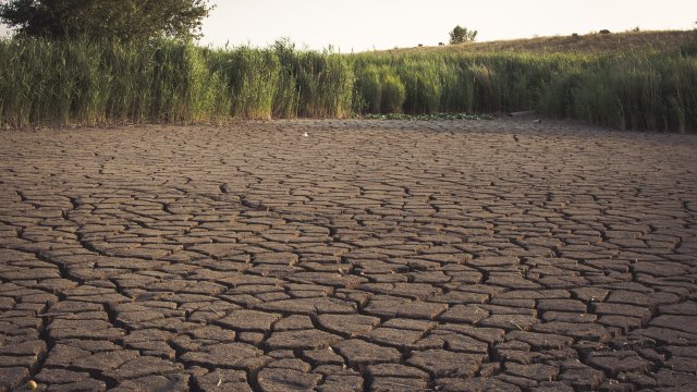 Глобалните щети от сушата в много страни през периода януари-юни
