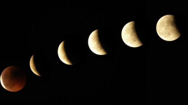 Ако разгледаме данните за диетите през 2021 г ще видим