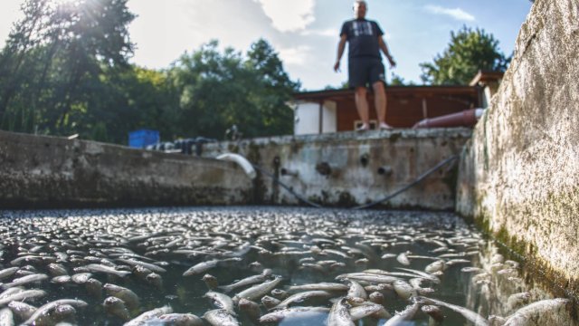 Борбата с бедствието в Своге продължава Въпреки че водата вече се