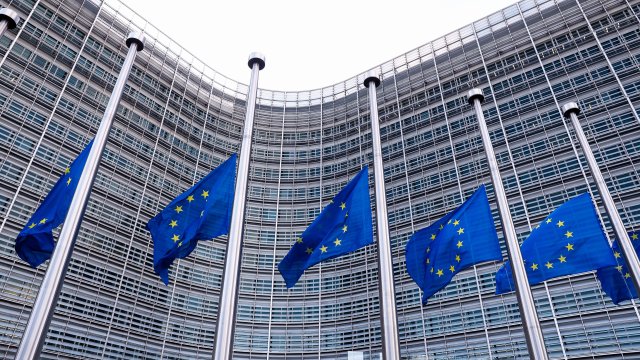 В някои държави от ЕС виждаме че депутати политици журналисти