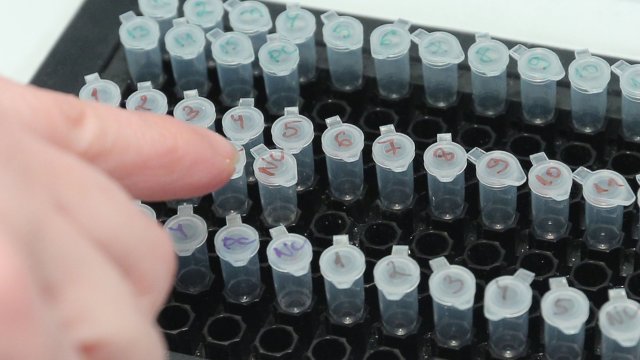 162 са новите случаи но коронавирус в България сочат данните