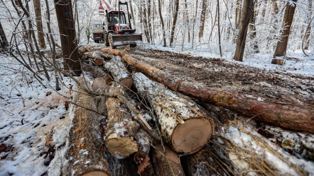 Софийскатата районна прокуратура започва проверка след сигнал подаден от Столичната