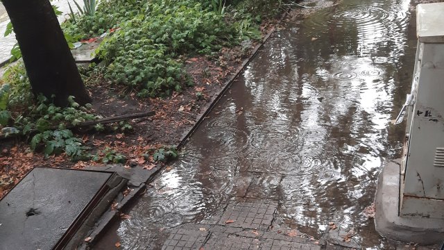 В платформата на ни изпратиха снимки от улица в столичния