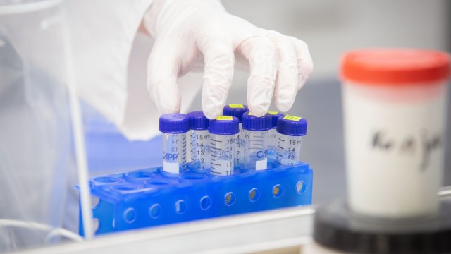 1 468 са новите случаи на коронавирус за изминалото денонощие