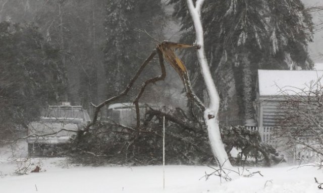 Буря премина снощи през северната и източната част на Германия