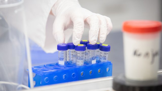 1218 са новите случаи на коронавирус у нас установени за