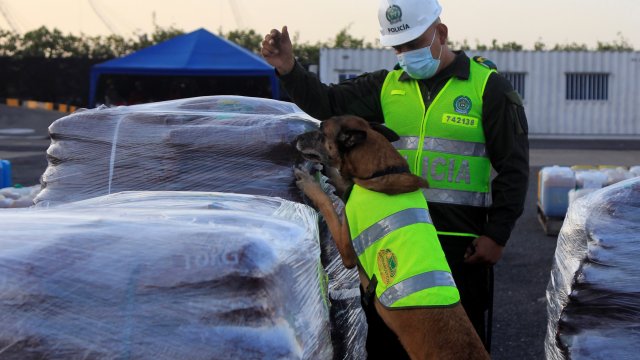 Куче обучено да намира наркотици помогна на граничарите на летище