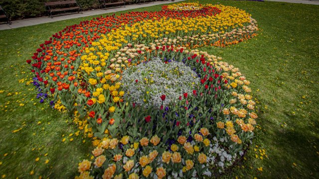 Днес ще преобладава слънчево време След обяд ще се развива