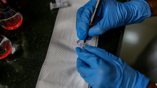 Световната здравна организация СЗО призова днес за спешни действия срещу