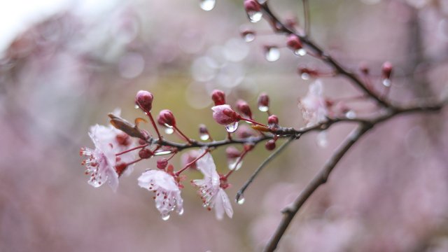 През страната ще премине студен атмосферен фронт Още преди обяд