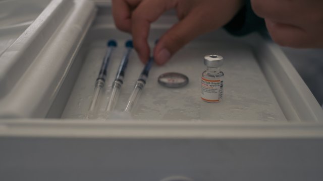 Десет европейски държави започват общо изследване върху маймунската шарка за