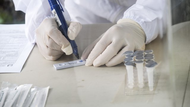 През миналата седмица светът е отчел най високия брой случаи на