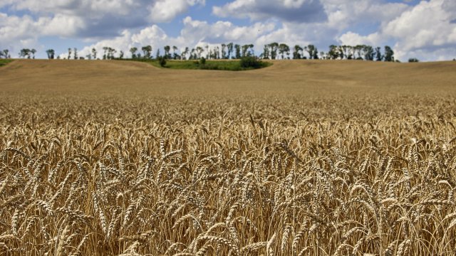 Турция събира Украйна и Русия на една маса в Истанбул