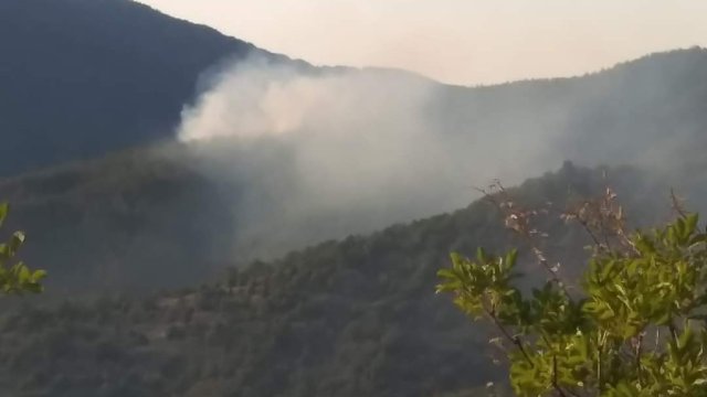 Локализиран е пожарът в Кресненското дефиле До късно тази нощ