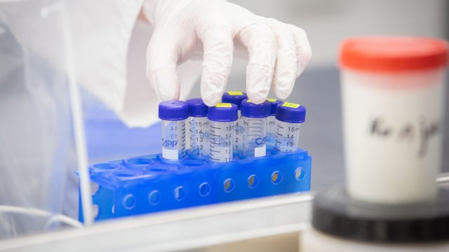 129 случая на вирусния вариант Омикрон на SARS CoV 2 са установени