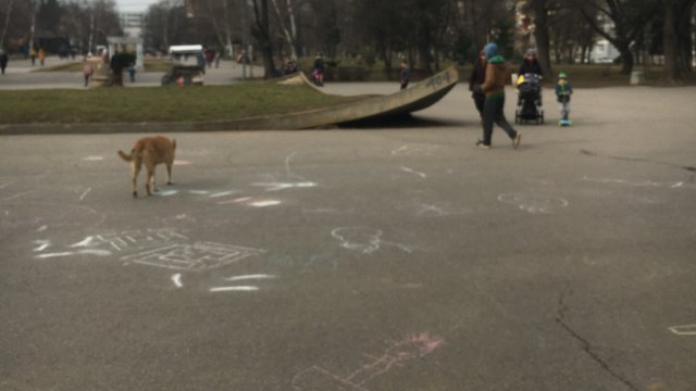 Въпреки че има ясни правила и закони за отглеждане на