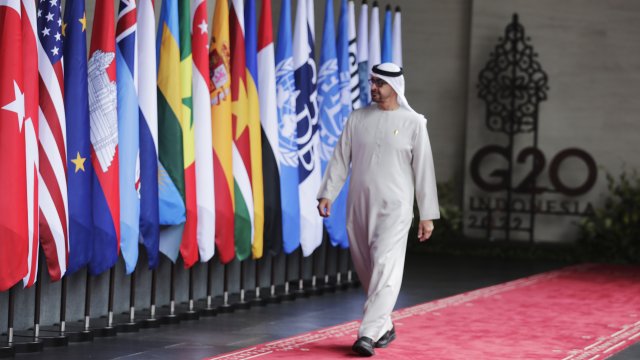 Семейството на президента на Обединените арабски емирства (ОАЕ) Мохамед бин