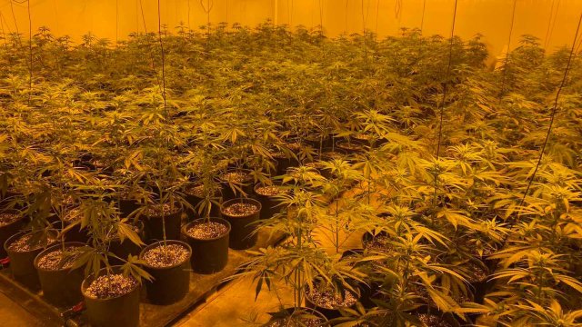 Криминалисти от Главната дирекция Национална полиция и техни колеги от