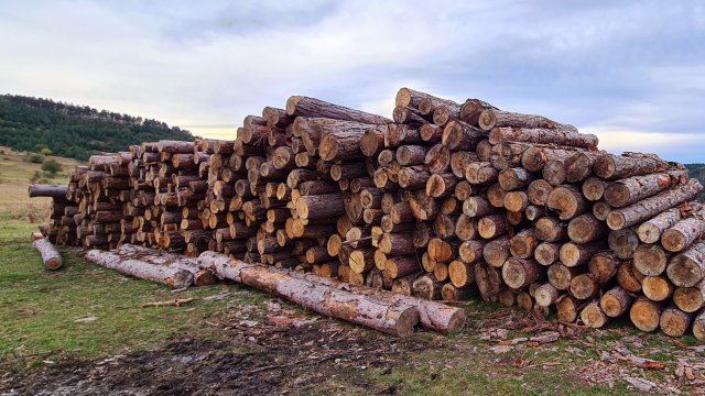 Според изготвена от Европейската комисия оценка въздействието на санкциите на