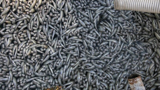 Кризисният щаб в Община Своге заседава извънредно След частичното решение