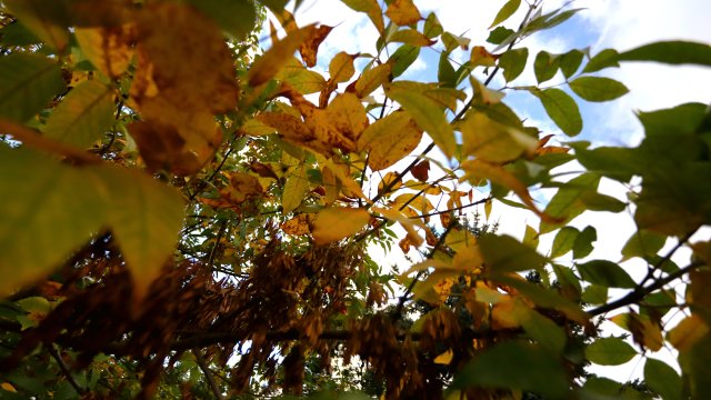 Сутринта ще бъде студена в много райони почти тиха Минималните