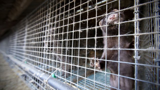 Проект на заповед на министъра на околната среда и водите