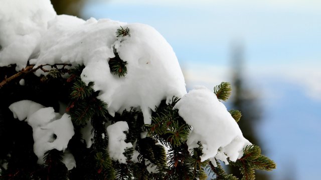 Жълт код за снеговалежи и за образуване на тънка снежна