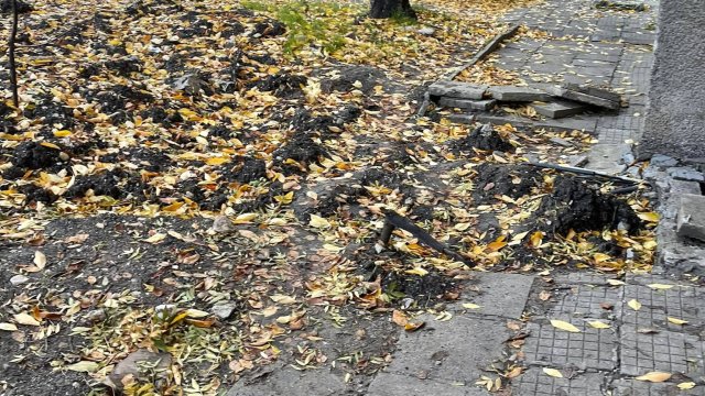 Платформата на Investor Media Group ще ви даде възможност не