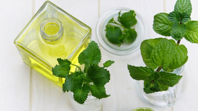 Ментата е една от най освежаващите билки Но тя има много