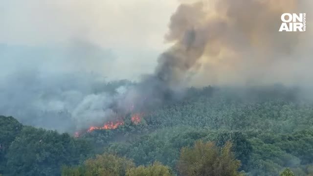 Близо седем часа продължават опитите за овладяването на голям пожар