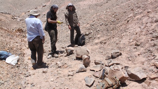 Засушаването на река Мисисипи успя да ни върне милиони години