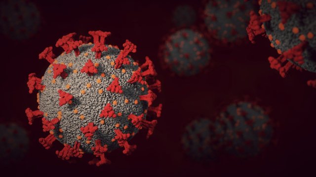 Заболеваемостта от коронавирус в страната продължава да расте и вече